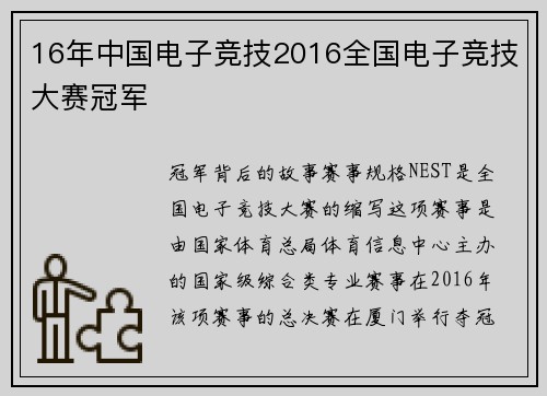 16年中国电子竞技2016全国电子竞技大赛冠军